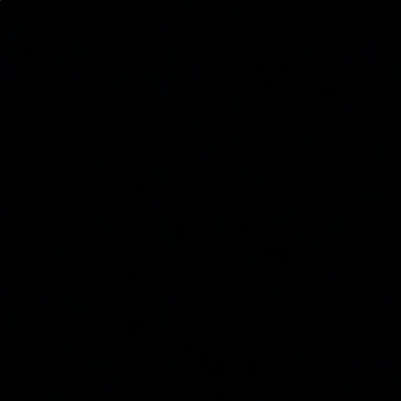 Meet your Posher, Hailey - Picture 1 of 1